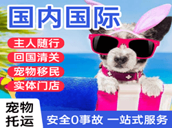 天吉泰机场快递国际宠物托运 【国